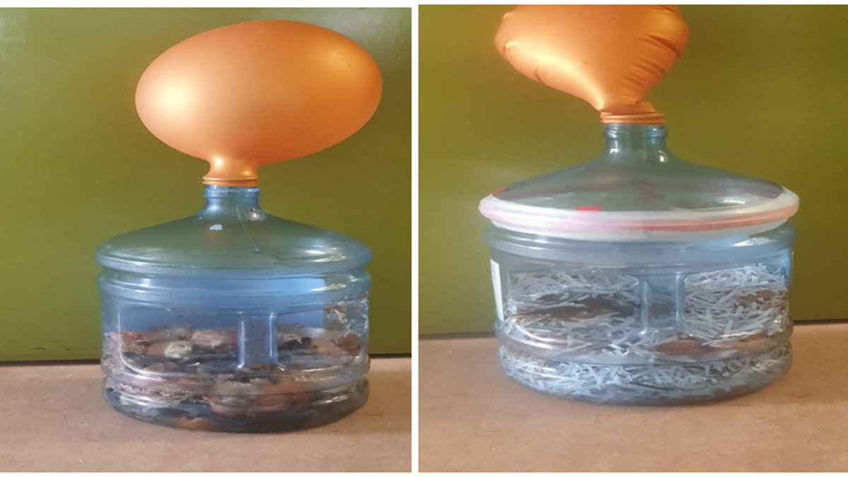 PDST POST PRIMARY STEM tweet media