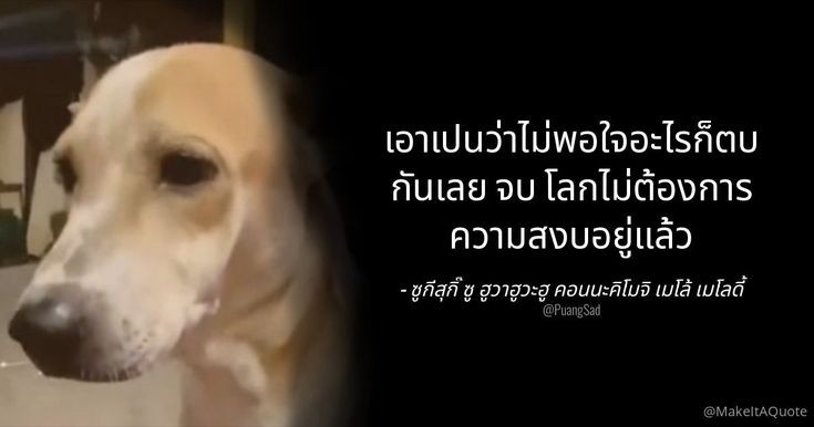 รอรเกียดไรสาววายป่าว ตอนดึกๆนี่ล่มบ่อยเหลือเกิน #รอรล่ม