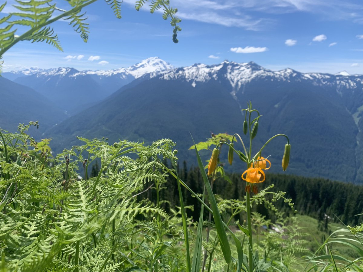 ForestServiceNW's tweet photo. "In the mountains, there you feel free."
- T.S. Elliot https://t.co/2J9kM2vhic