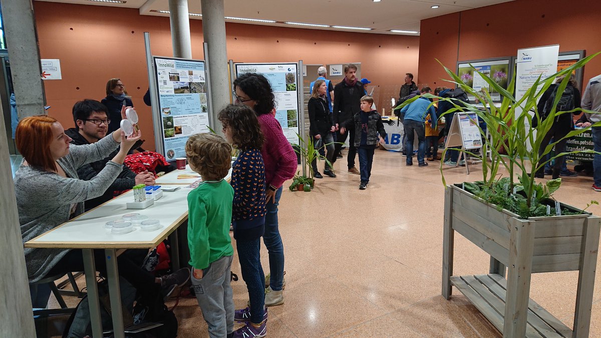 igz_leibniz's tweet photo. Ist das Unkraut oder Zukunft? 🌱
Die Kolleg*innen des #InnoWild-Projekts stellen das Projekt beim Potsdamer Tag der Wissenschaften vor und gaben einen Einblick in das Potential von #Wildpflanzen für neue Wertschöpfungsketten.
#ptdw23 #Science @ptdw23 https://t.co/CMzhvpSs7w