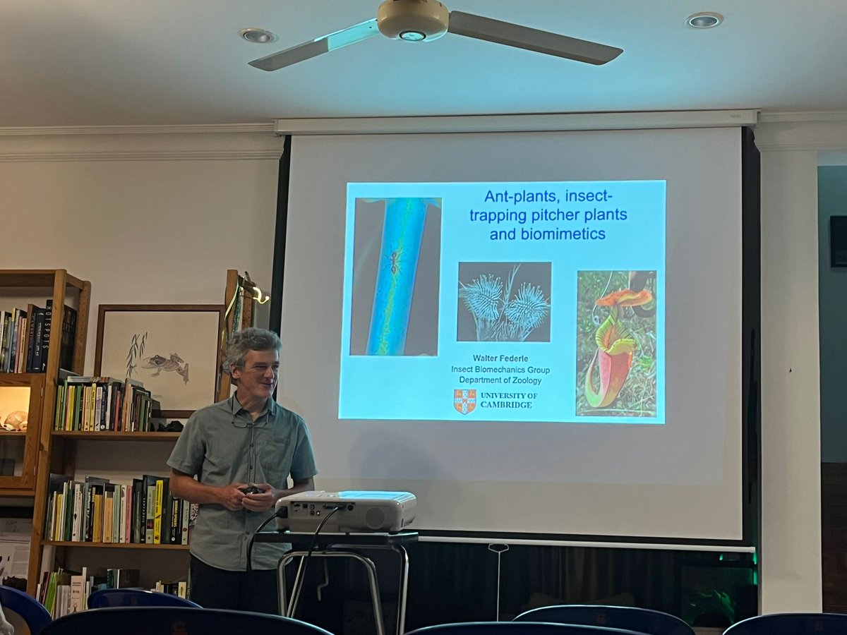 InsectBiomech's tweet photo. Prof Walter Federle gave a fascinating talk yesterday at the Brunei Nature Society about his work on insect-plant interactions in Brunei! Huge thanks to Prof Ulmar Grafe, Universiti Brunei Darussalam, for the invitation!! https://t.co/NLMTvRtnNZ