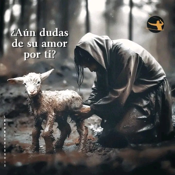 Helennava36's tweet photo. Porque el Hijo del Hombre ha venido para salvar lo que se había perdido.
Mateo 18:11 https://t.co/XEDnSZJnsO