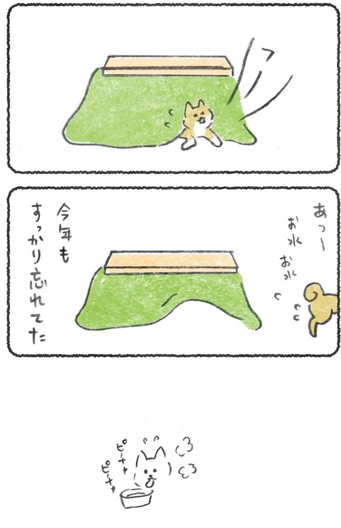 冬がくるたび忘れてる #豆しばこつぶ