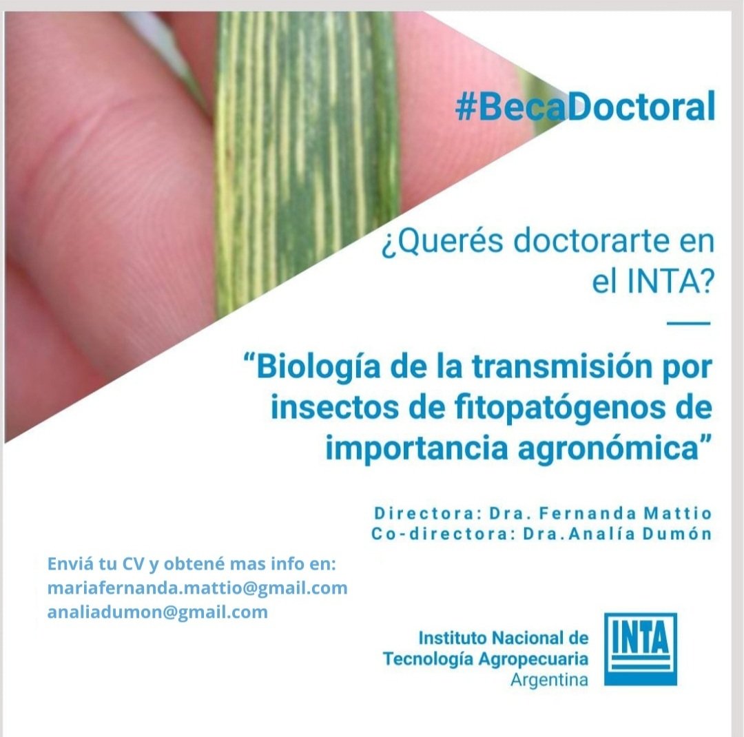 analia_dumon's tweet photo. Beca doctoral INTA. Si tenes hasta 35 años y querés trabajar con insectos envianos tu cv. No te pierdas esta oportunidad ❤❤ https://t.co/hwno0CZmJ9