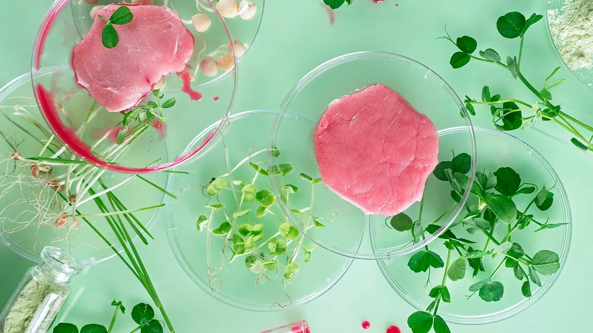 EFSA_EU's tweet photo. 🧫Our 2-day colloquium on #CellCulture-derived food starts tomorrow!

We aim to gather views &amp; insights from leading scientists &amp; organisations on a technology increasingly being linked to #FoodProduction.

Our job as always: is it safe? A short thread👇 https://t.co/NJ9bXO4nZM