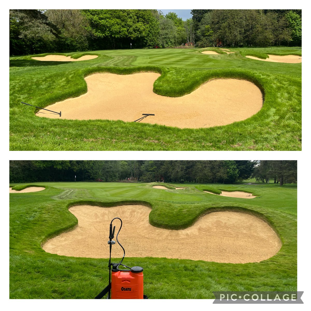 Lee Bishop tweet media