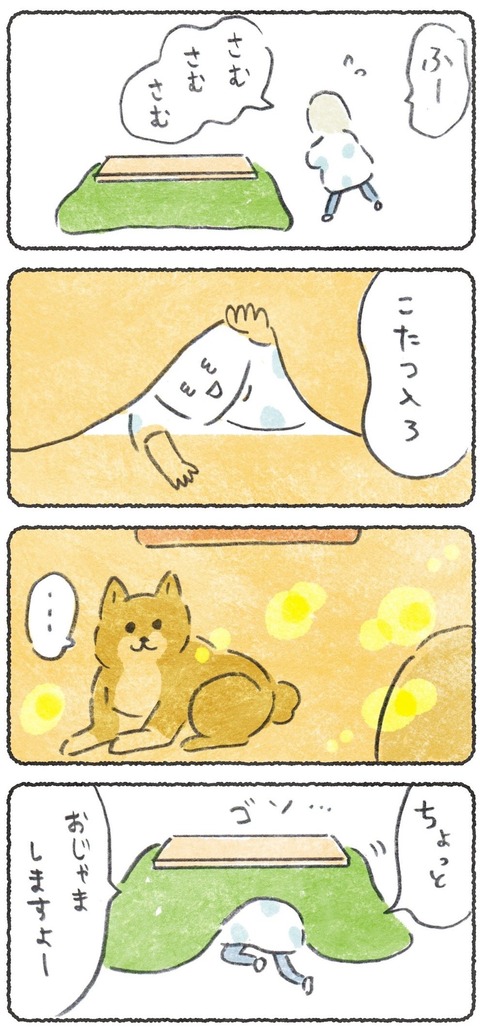 こたつで新たな一面をみせる犬
●つづき→https://t.co/x0lqVySNZK 