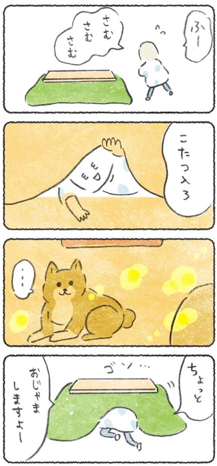 こたつで新たな一面をみせる犬
●つづき→https://t.co/x0lqVySNZK 
