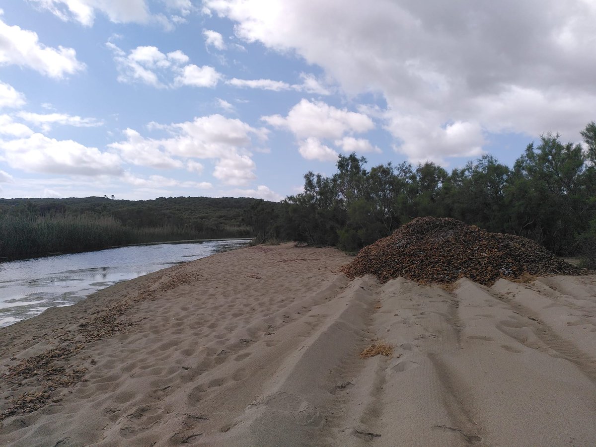 AlternativaArta's tweet photo. La Conselleria de Medi Ambient i Territori del @goib comandada per @MESperMallorca és una inutilitat dramàtica i fa empagueïr. #PocEnsPassa, res les devem.
#SaCanova #NaBorges #PNLlevant #XN2000 https://t.co/2gBWVW1GV7