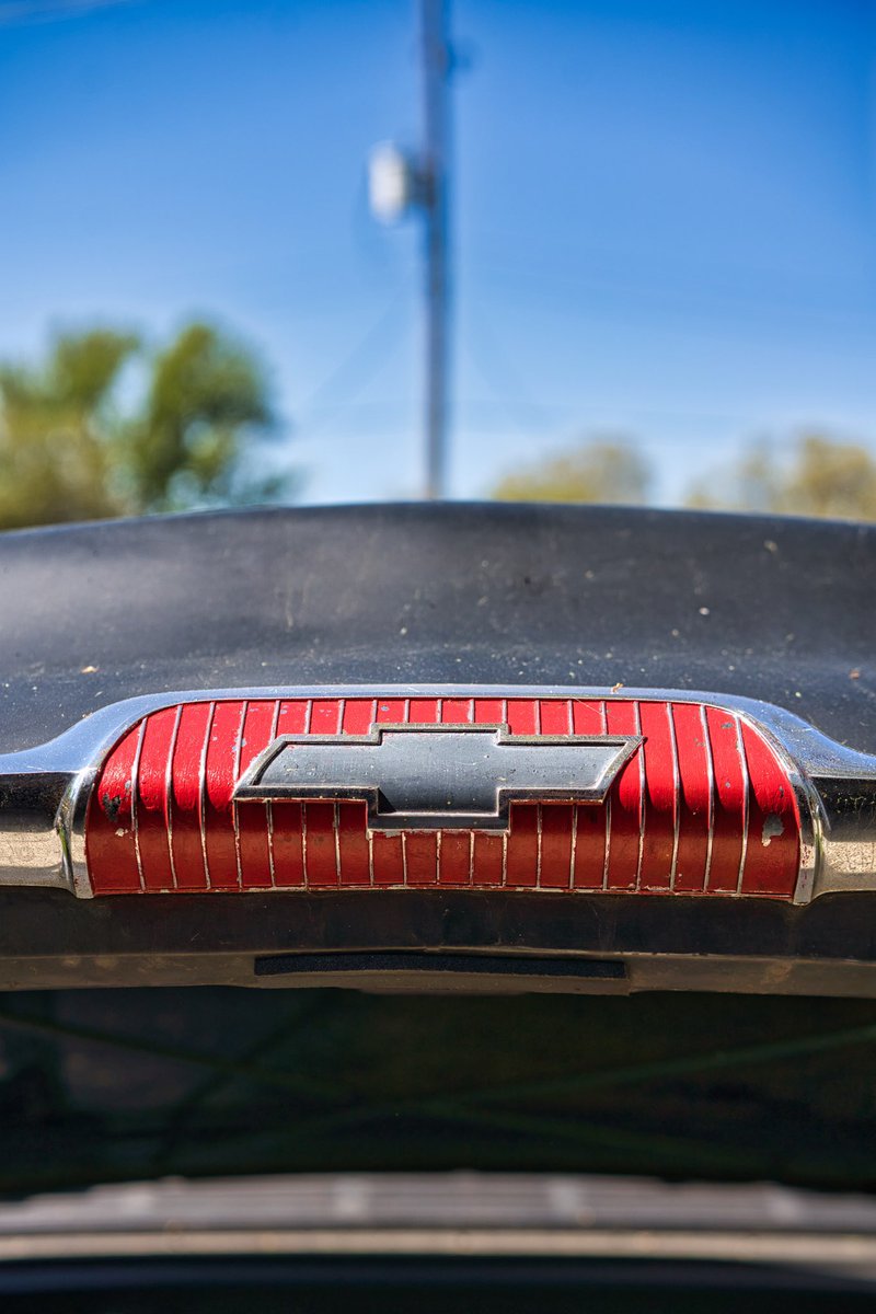 Raven50MM tweet media