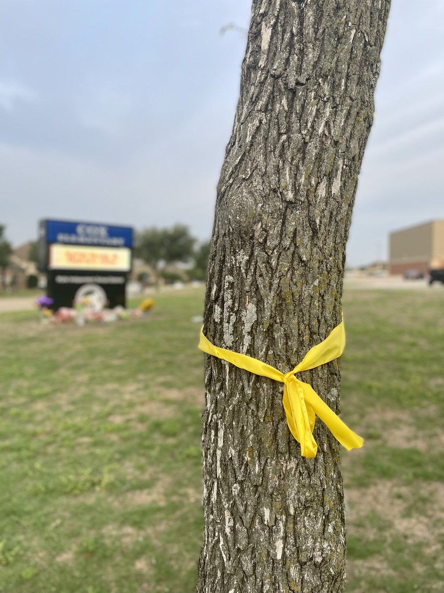 Shannon Murray tweet media