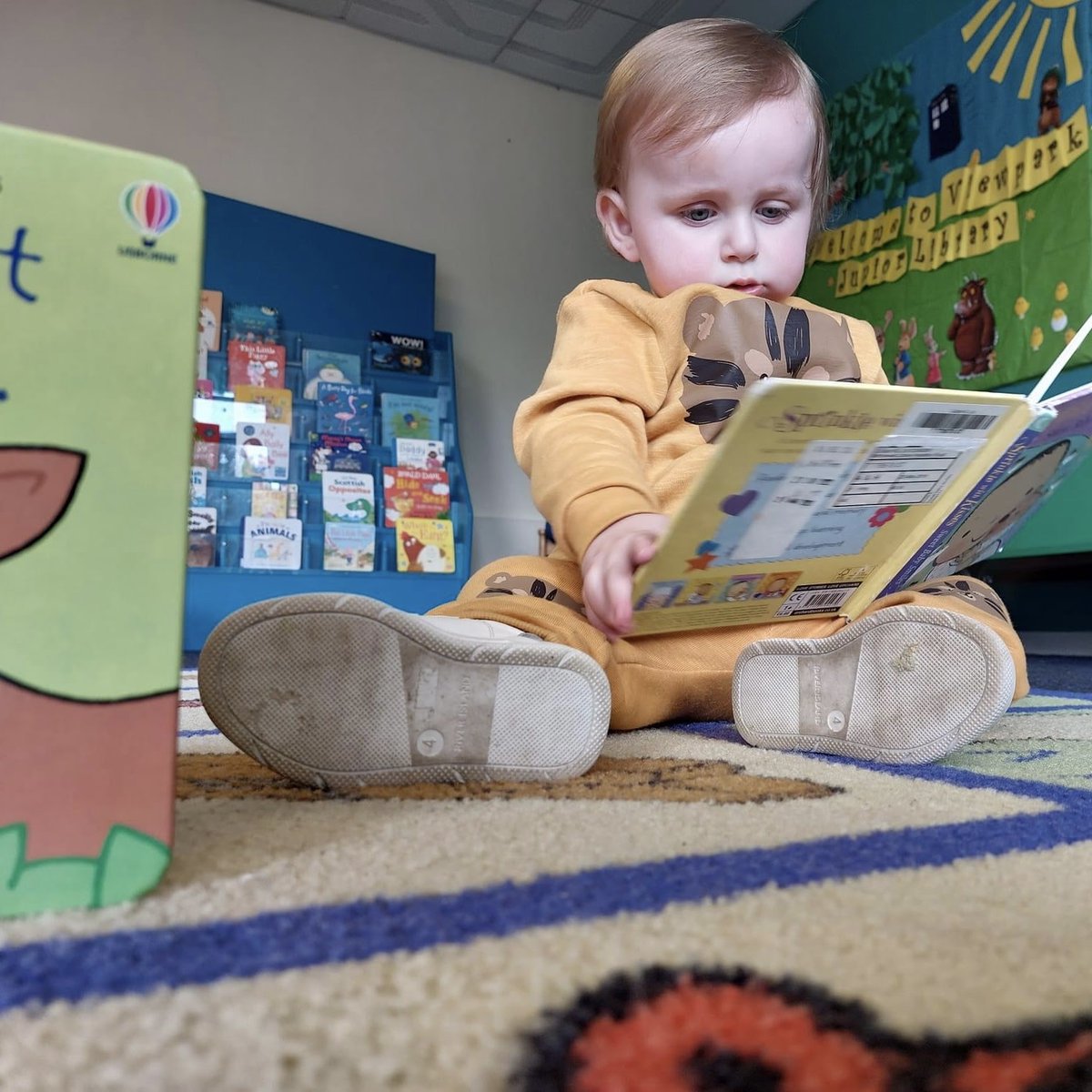 LibrariesNL's tweet photo. Are you ever too young to start enjoying your local library?

We don't think so. This little one had lots of fun on a recent trip to #ViewparkLib. https://t.co/qqtz6YXzsT