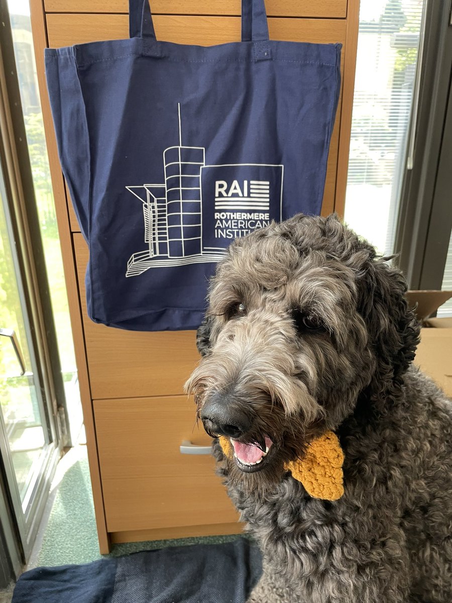 RAIOxford's tweet photo. We are excited to announce that we now have RAI merch! Walter, the RAI Emotional Support Office, kindly offered to model the new items. We will have them available for purchase at all American Ground events (Tuesdays at 11) this term. https://t.co/6BTM2xkZ7k
