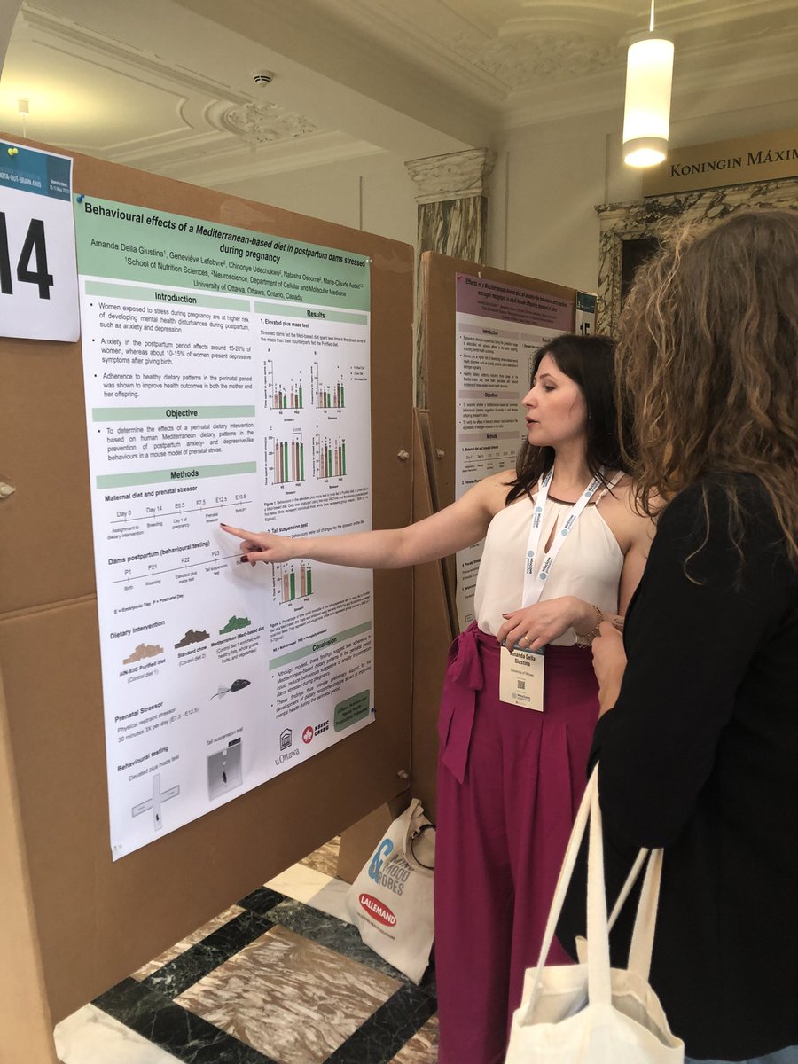 MCAudet1's tweet photo. Great start of the @MindMicrobes conference in Amsterdam! Now time for lab posters on diet moderating mental health/microbiota relationships (@ADS_Bunny ) and behavioral effects of a Med-based diet in a 🐭 model of prenatal stress (@giustina_amanda). #MMM2023 https://t.co/X7b7GE3w69