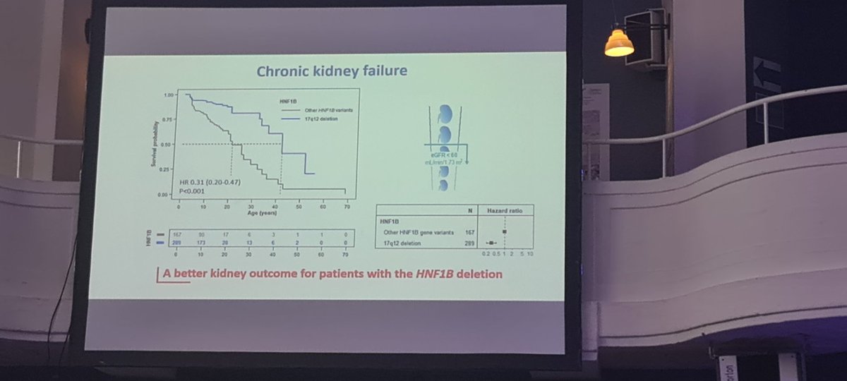 KathleenClaes1's tweet photo. @EuRefNetwork interesting abstract session at the annual meeting of #ERKnet on clinical data in rare diseases. In patients with HNF1beta deletion there is a lowzr risk of renal function deterioration unless you only have one kidney https://t.co/ngqWReUOSY