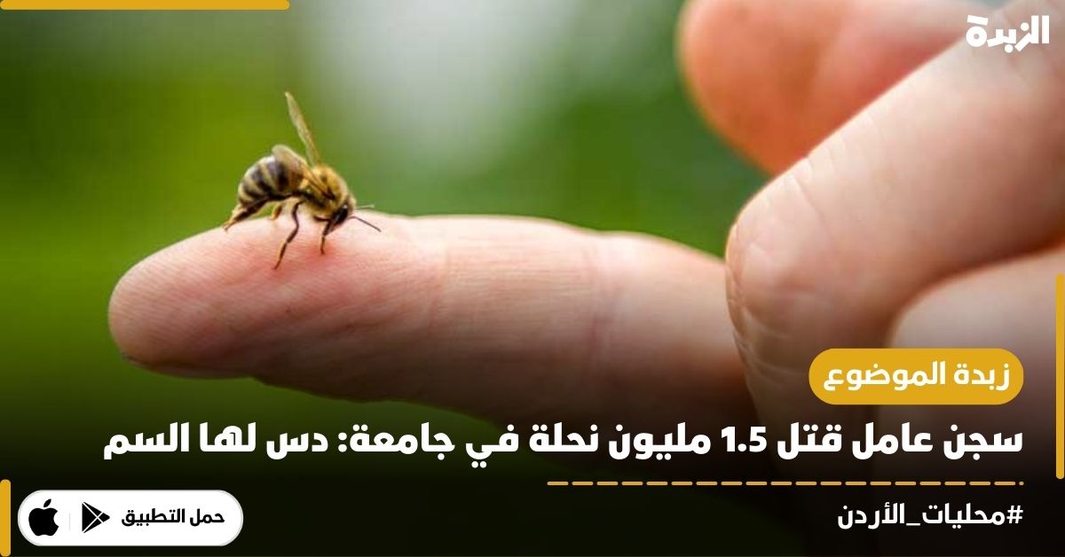 قضت محكمة صلح جزاء جرش بحبس عامل مزرعة في جامعة لمدة عام. قتل العامل مليون ونصف المليون «نحلة» يعشن في 30 خلية

 دس لهن مادة اللانيت السامة في غذائهن الصناعي، وذلك انتقاما من طرده من الجامعة بسبب تخريبه لأشتال زراعية. 

وأدانت  المتهم بتهمتي قتل حيوان، وإلحاق الضرر بمال الغير.