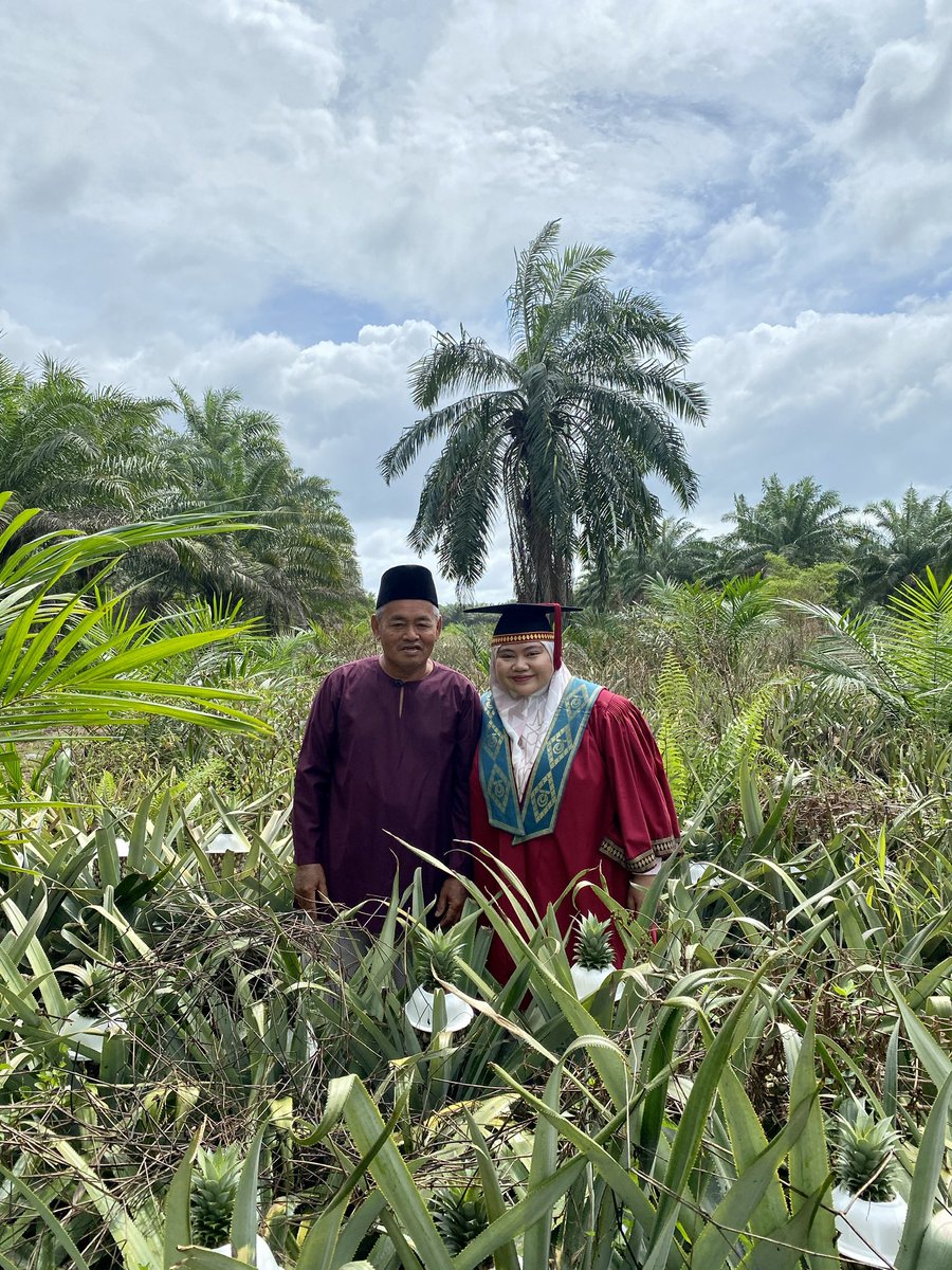 kaynisss22's tweet photo. Dengan hasil duit tuaian nenas ni lah ayah funded 3/4 of my master and phd journey. It took me a while to be proud of my background, asal kampung, anak petani, sebab dulu2 masa sekolah mcm malulah nak cite ayah keje kebun je. https://t.co/yCXLhFdbHb