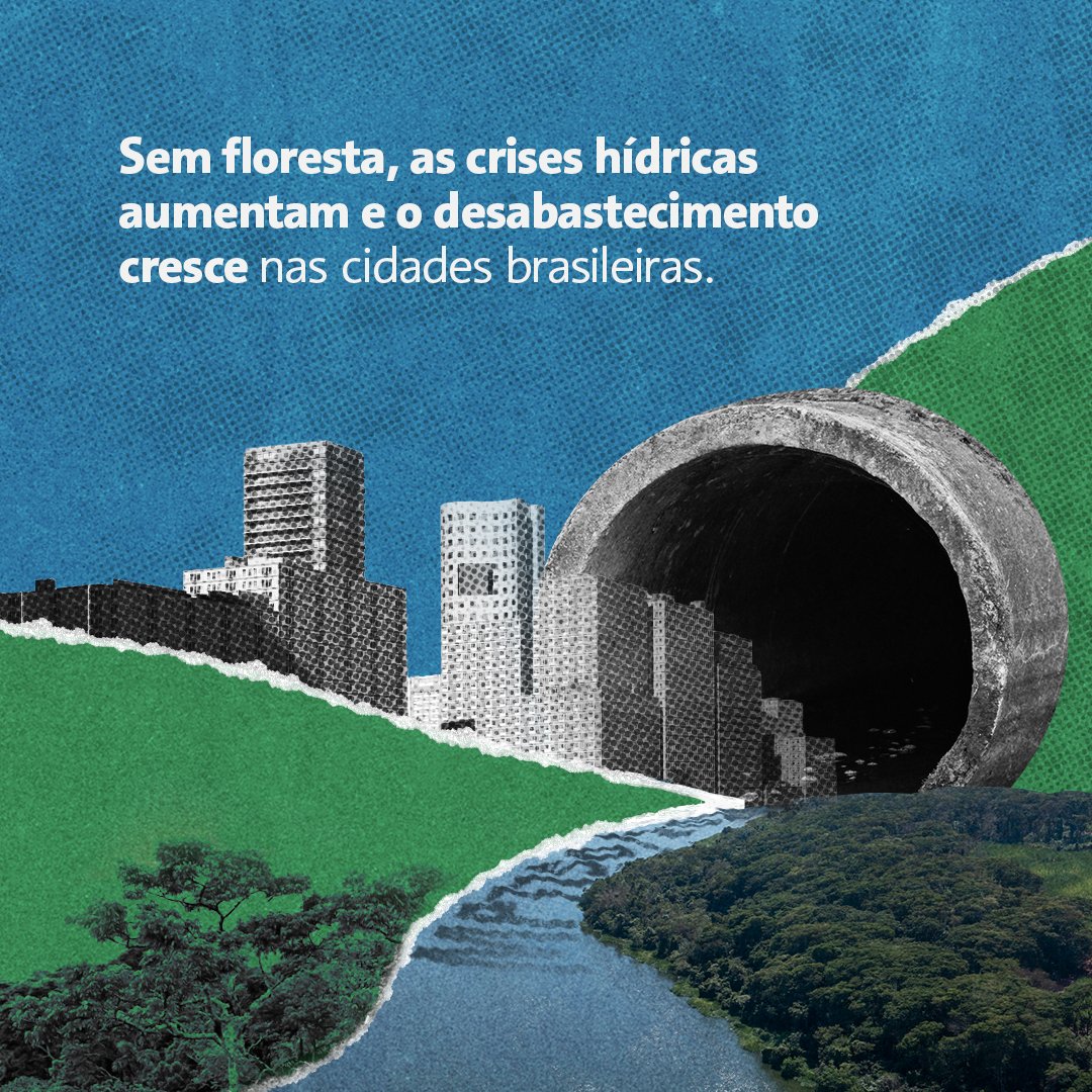 EAtivismo's tweet photo. Vamos pressionar pela retirada da MP 1150 da pauta de votação hoje no @SenadoFederal! A Medida adia a restauração das nossas florestas, ataca o que sobrou delas e coloca os moradores das cidades em risco! #SalveOCódigoFlorestal #SalveAMataAtlântica https://t.co/kgFFmw2Mcp