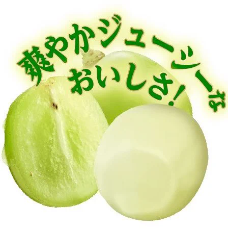 ５月１６日より全国で新発売シャインマスカットミルキー袋