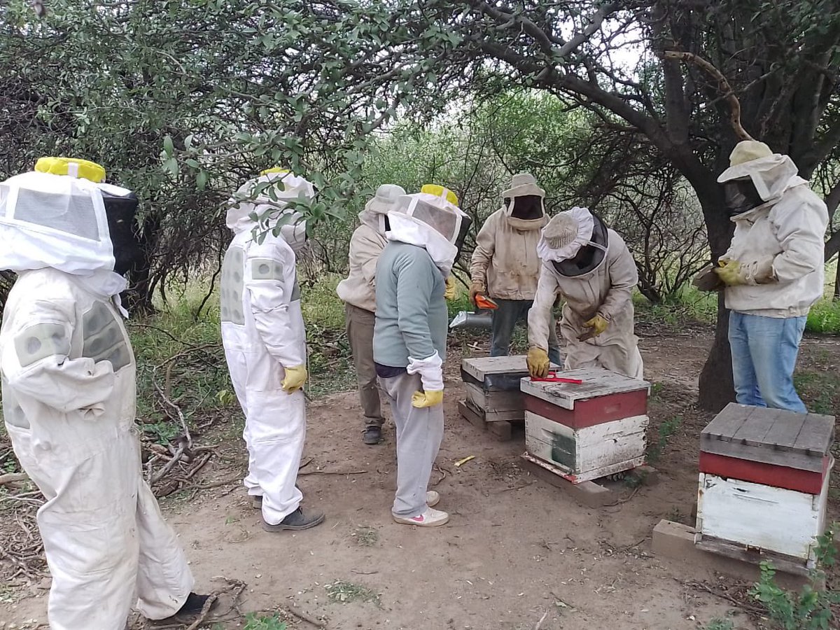 Cambio Rural tweet media