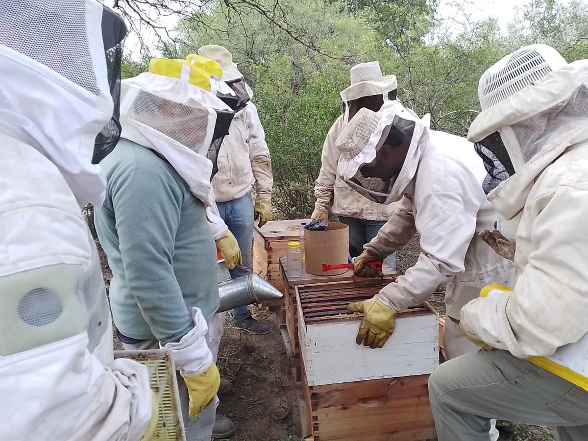 Cambio Rural tweet media