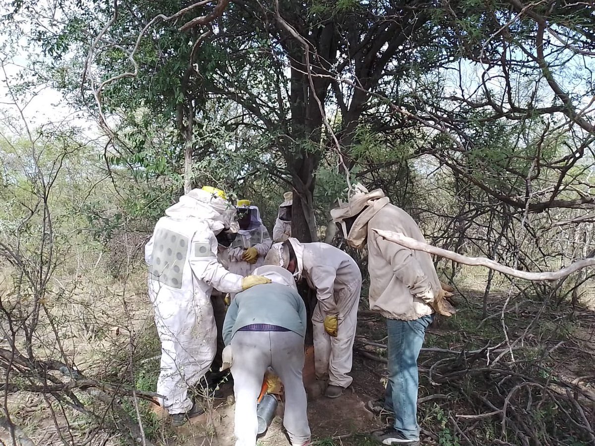 Cambio Rural tweet media