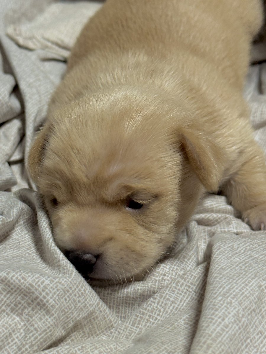 gireumee's tweet photo. 눈이 너무 짝아요 https://t.co/ItlZUKVNDi