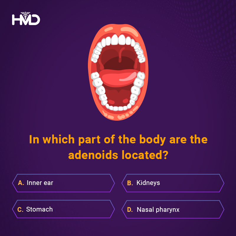 hmdhealthcare's tweet photo. We are back with another quiz to check how much you know. Leave your answer in the comments below.
#HumanBodyQuiz #AnatomyTrivia #BodyKnowledge #HealthQuiz #BiologyQuiz #MedicalDevices #MedicalSafety #Healthcare #MedicalIndustry #Hmdhealthcare https://t.co/rCTl0lnvPE