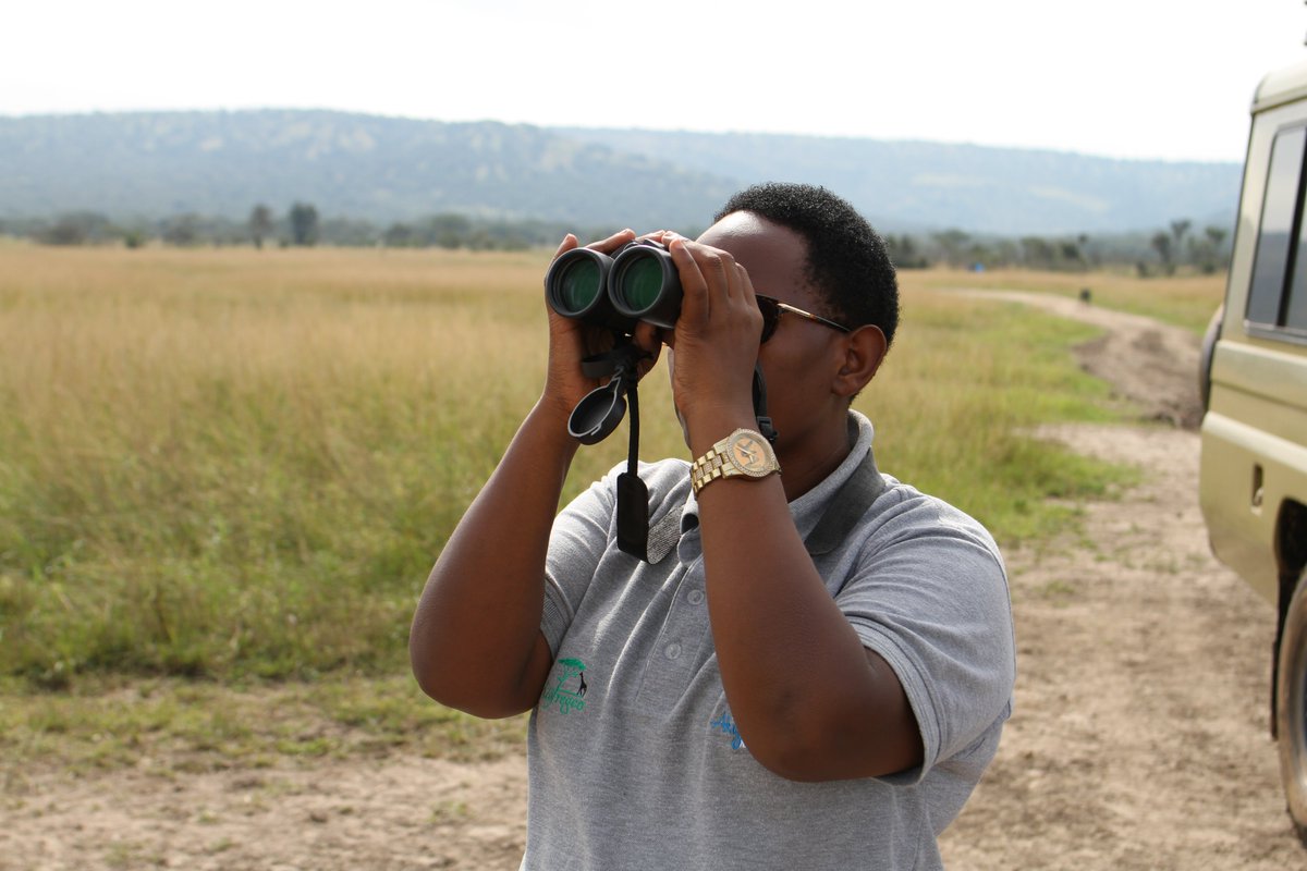 AkageraPark's tweet photo. During the waterbird survey in February, 1,336 individual waterbirds belonging to 31 species were recorded on Lake Ihema. Join us on a boat excursion this Saturday, May 13, on #BigGlobalDay to identify the waterbirds again on the lake.
Contact us at akagera@africanparks.org 🦅 https://t.co/We2Af64e8p