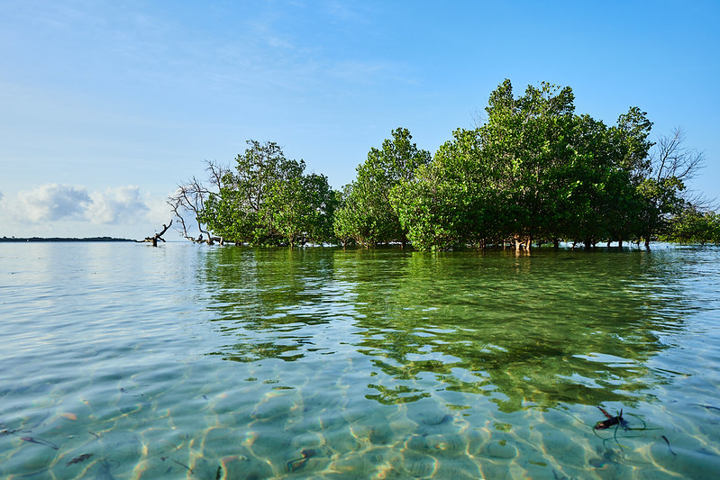 IUCN ESARO tweet media