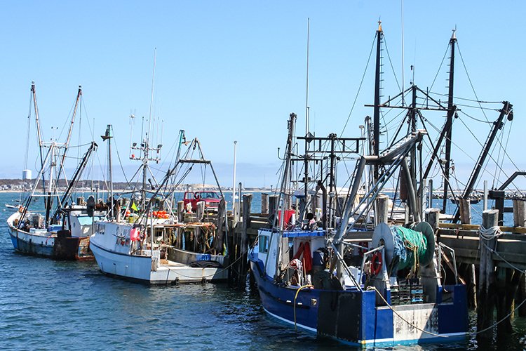 NOAAFish_NEFSC's tweet photo. If you were an active, federally-permitted commercial fishing vessel owner in our region during 2021 or 2022, please take our commercial fishing business costs survey: https://t.co/k9FCnVivQt. It’s the only way to collect commercial fishing expense info in our region. https://t.co/tUzAwLOR9O