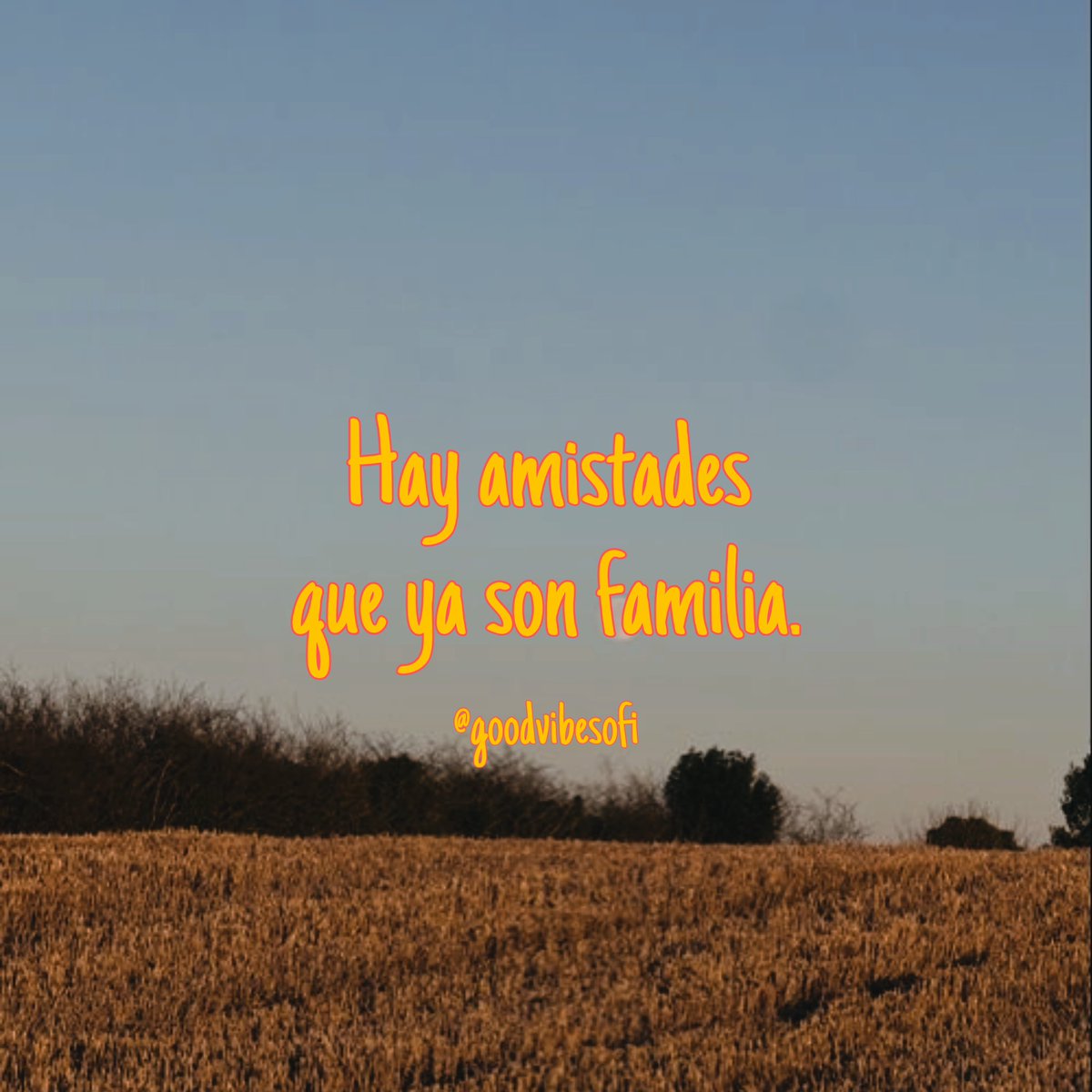 Ameeliaa_Eth's tweet photo. https://t.co/ZB8osht8mX