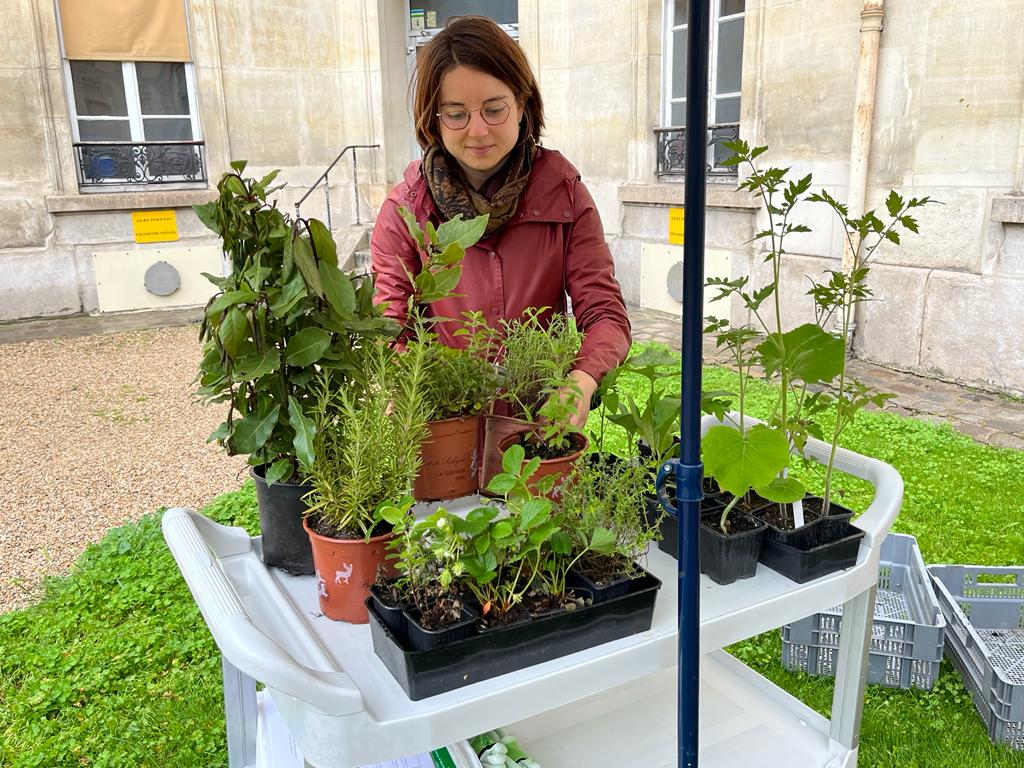 HopLariboisiere's tweet photo. [#QVT] Ouverture du premier jardin partagé de #FernandWidal @APHP à l'initiative du personnel 🌱 BRAVO ! 🙏
Un lieu de partage accessible pour les professionnels et patients 😊🪴

➡️ Programme du jour :
Ateliers de plantation de vivaces et légumes d'été animés par @Topager 🍅 https://t.co/0hCcBZBiuk