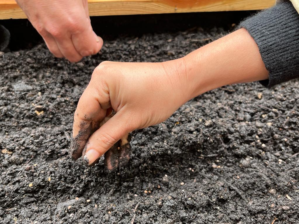 HopLariboisiere's tweet photo. [#QVT] Ouverture du premier jardin partagé de #FernandWidal @APHP à l'initiative du personnel 🌱 BRAVO ! 🙏
Un lieu de partage accessible pour les professionnels et patients 😊🪴

➡️ Programme du jour :
Ateliers de plantation de vivaces et légumes d'été animés par @Topager 🍅 https://t.co/0hCcBZBiuk