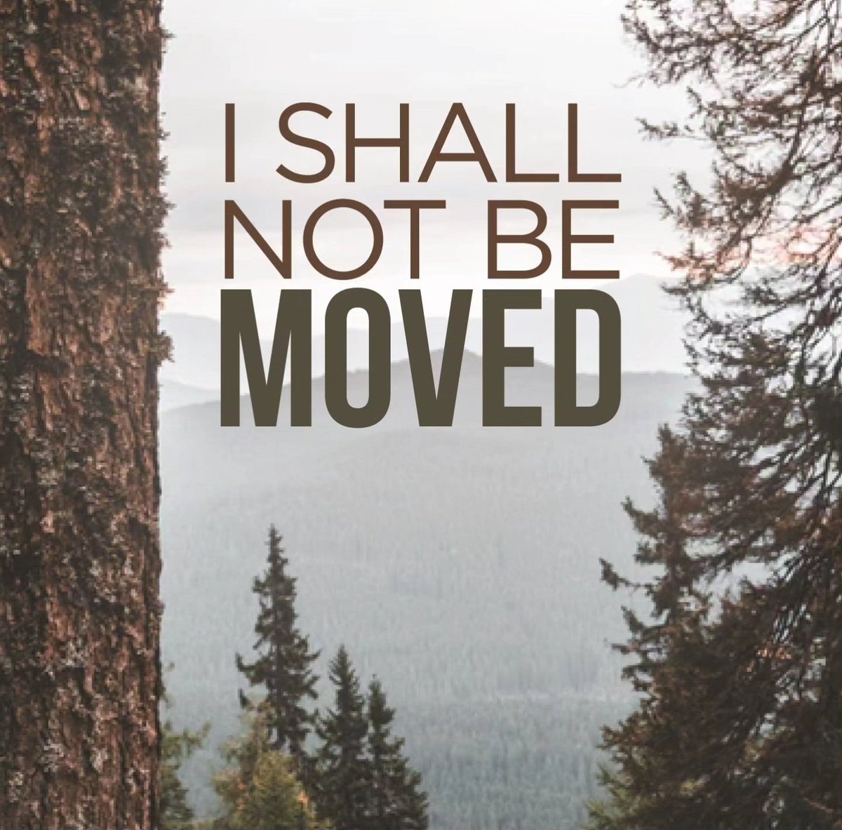 rechpauline's tweet image. Good morning! Yes, you can handle it, but only to the depth and height of your capacity. To be the best, you have to handle the worst. #handlelife #handleit #helpinthehouse #solutionist #iamaningredient #justicegeneral