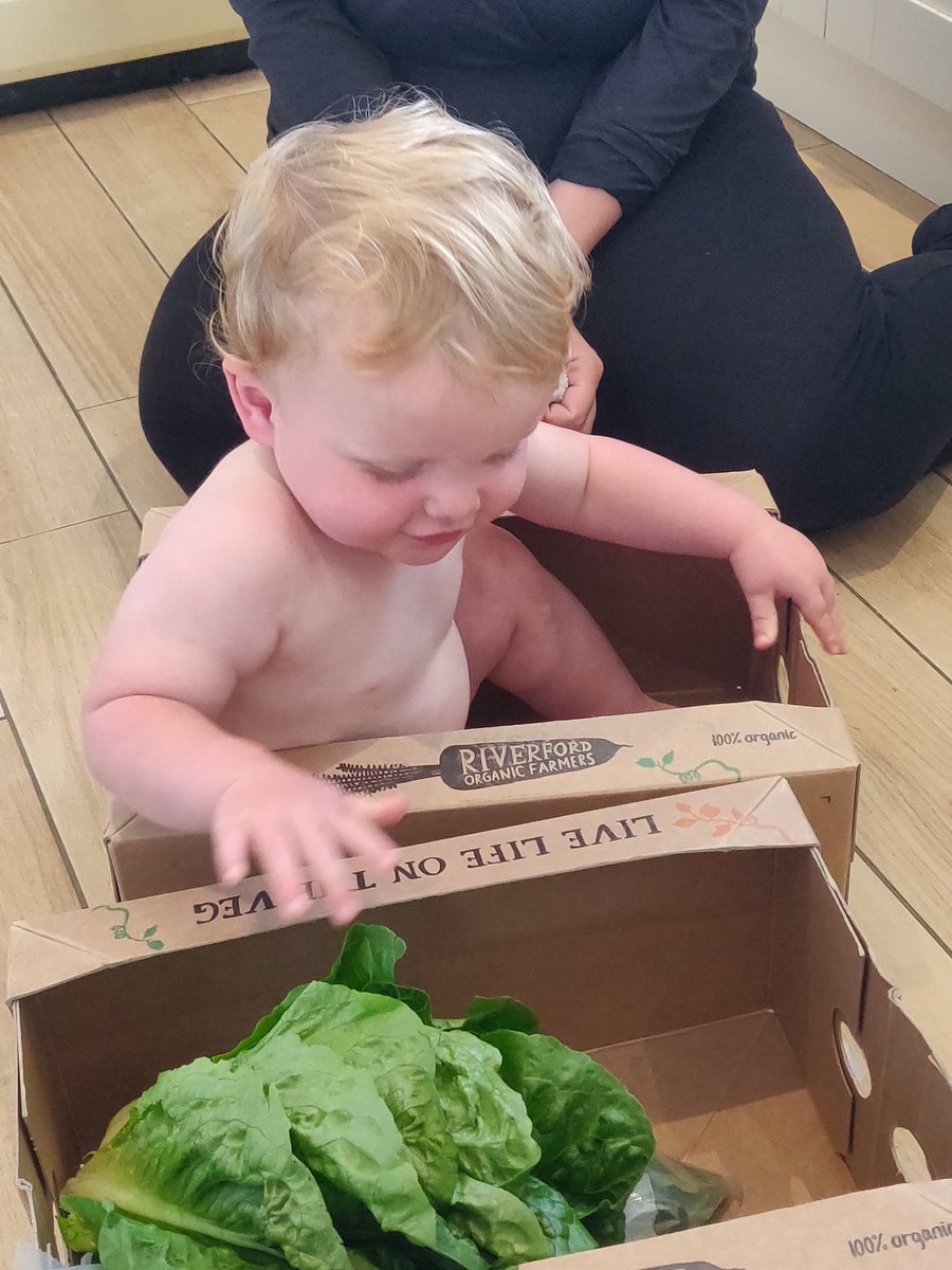 bigmanphil's tweet photo. @Riverford I would like to raise an issue with our veg box... This is not what we ordered https://t.co/yWtE0m5eEv