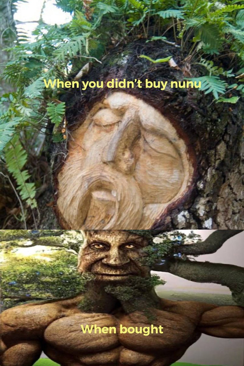 UltraWeb3's tweet photo. #NFTs2Trees https://t.co/fcMVR6fVty