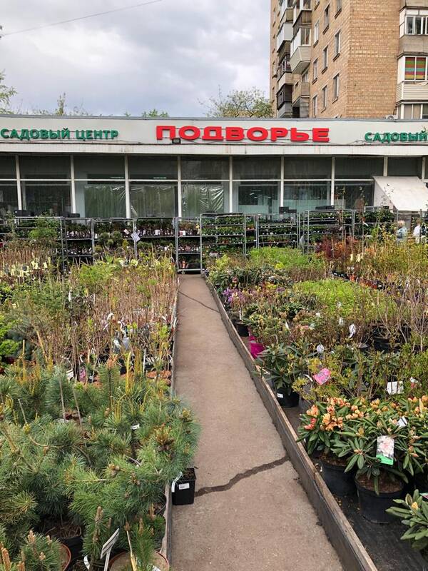 podvorje's tweet photo. Подворье ищет новый дом!

Уважаемые садоводы! Со смешанными чувствами хотим сообщить, что в конце этого года здание садового центра, которое столько лет было нашим домом, будет закрыто на реконструкцию. А мы начинаем искать новый дом. Конечно, покидать ст  https://t.co/7u1RjkOhKq https://t.co/bj9vHmgKmM
