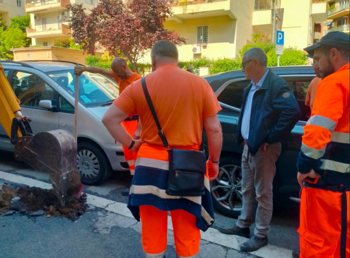 H24Prati's tweet photo. Nuovi alberi nel quartiere, dono dei comitati. "Prendiamoci cura di questi boschi urbani" - https://t.co/4OodxyEs0F https://t.co/bUpST4wTN8