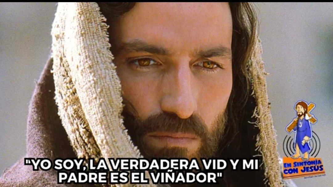 EVANGELIO DEL DÍA con el P. José Lucio León🙋‍♂️
youtu.be/NitUwu82Ll4
#yotengounamigosacerdote