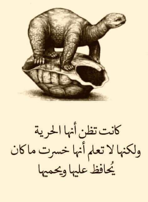 khmohamed17's tweet photo. https://t.co/YuBAYqeGwZ