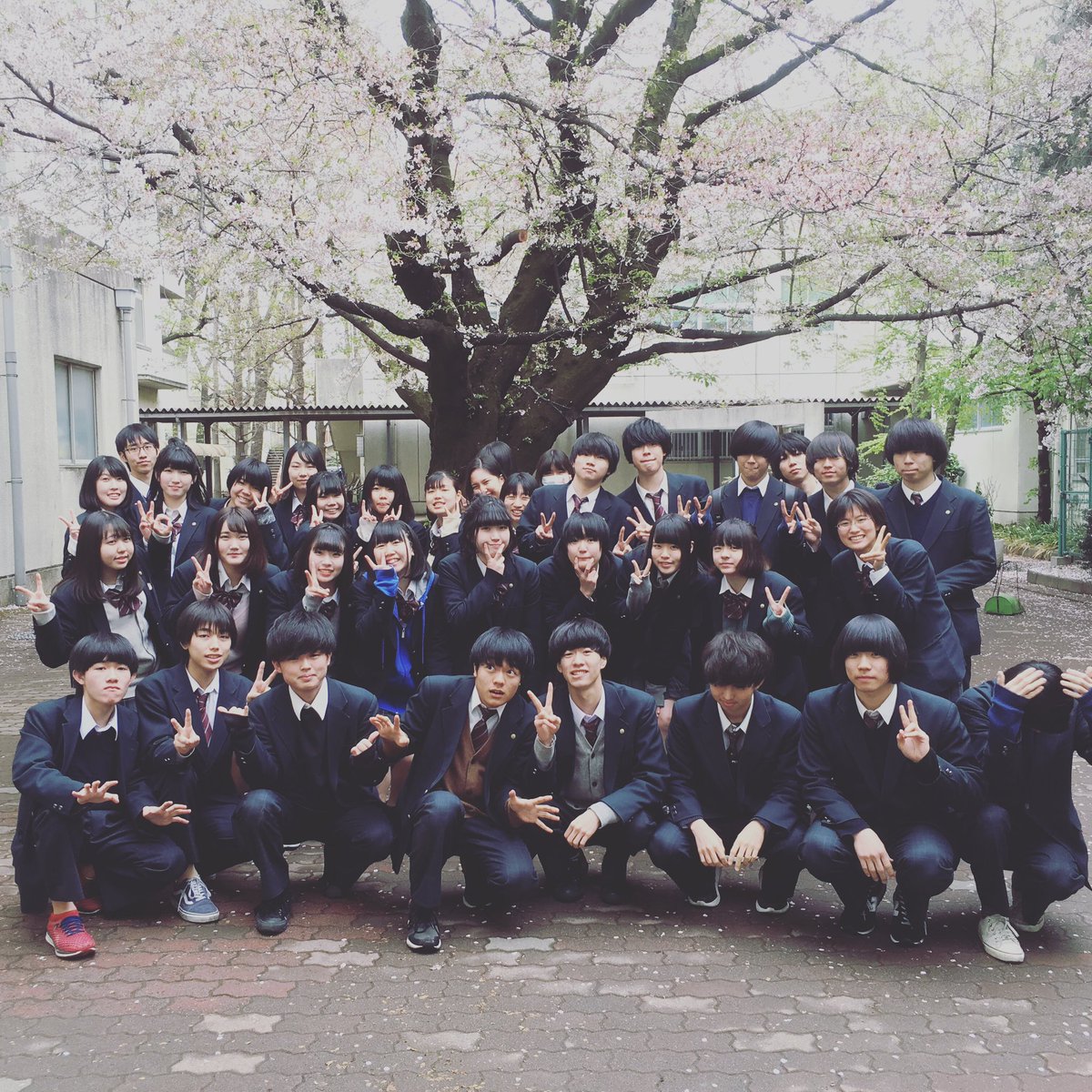 SHIKISOWORLD's tweet photo. 今日、高校の同期がメジャーデビューしたそうです。

僕らの代のヒーロー、本当におめでとう。

 #クジラ夜の街 https://t.co/eCRACYAEtA
