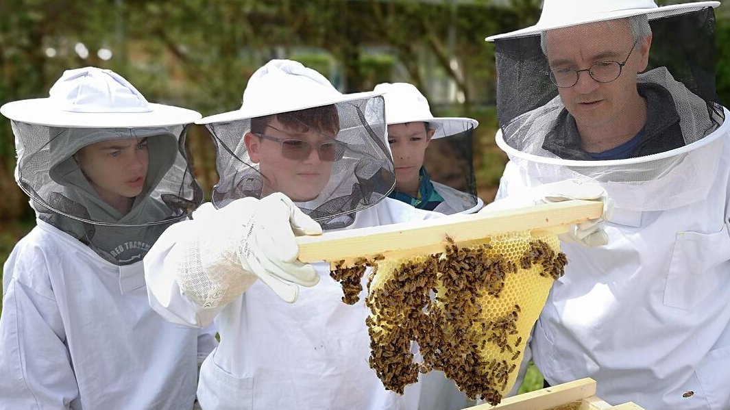 we4bee's tweet photo. Wir freuen uns, ein neues Mitglied in unserer Forscher-Familie bei we4bee begrüßen zu dürfen: Die Mittelschule Höchberg 🐝 - herzlich willkommen im Team! 🤗
https://t.co/L5q57ZNpC9 #we4bee #Bienen #Höchberg #mainfranken #Würzburg #Imkern #Forschung #UniWürzburg #bigdata https://t.co/mbIbKhfGf7