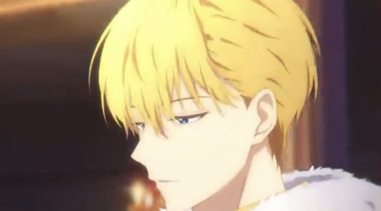 sophia♡ tweet media