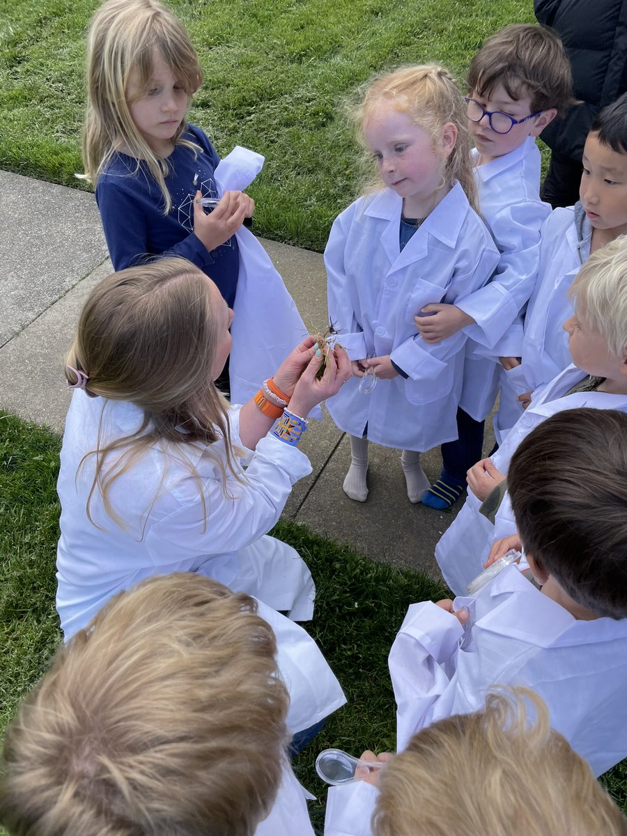 Christina H. Hagerty tweet media