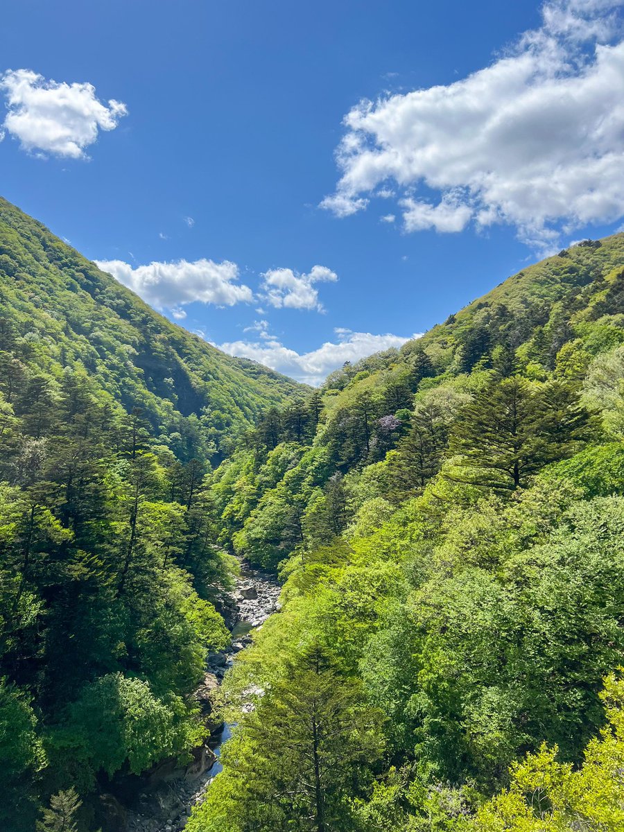 神様、あんたすげーよ。