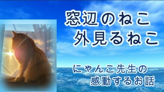 HappyCatStory's tweet photo. ユーチューブ動画【幸せなねこの物語 12話】
海岸に捨てられてた子ねこが、可愛い方法でかぁちゃんを幸せにする感動するお話
https://t.co/FT395wpTO0 

#ねこ #猫との暮らし #保護猫  #ニャンコ先生 #いなかっぺ大将 #大ちゃん #トラ猫 #譲渡会 #うちの子 #うちの子グッズ #保護 #ねこのきもち https://t.co/r57pE6XfVL