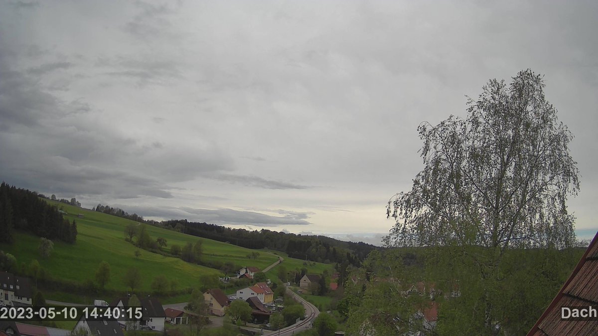 Erdnuggl tweet media