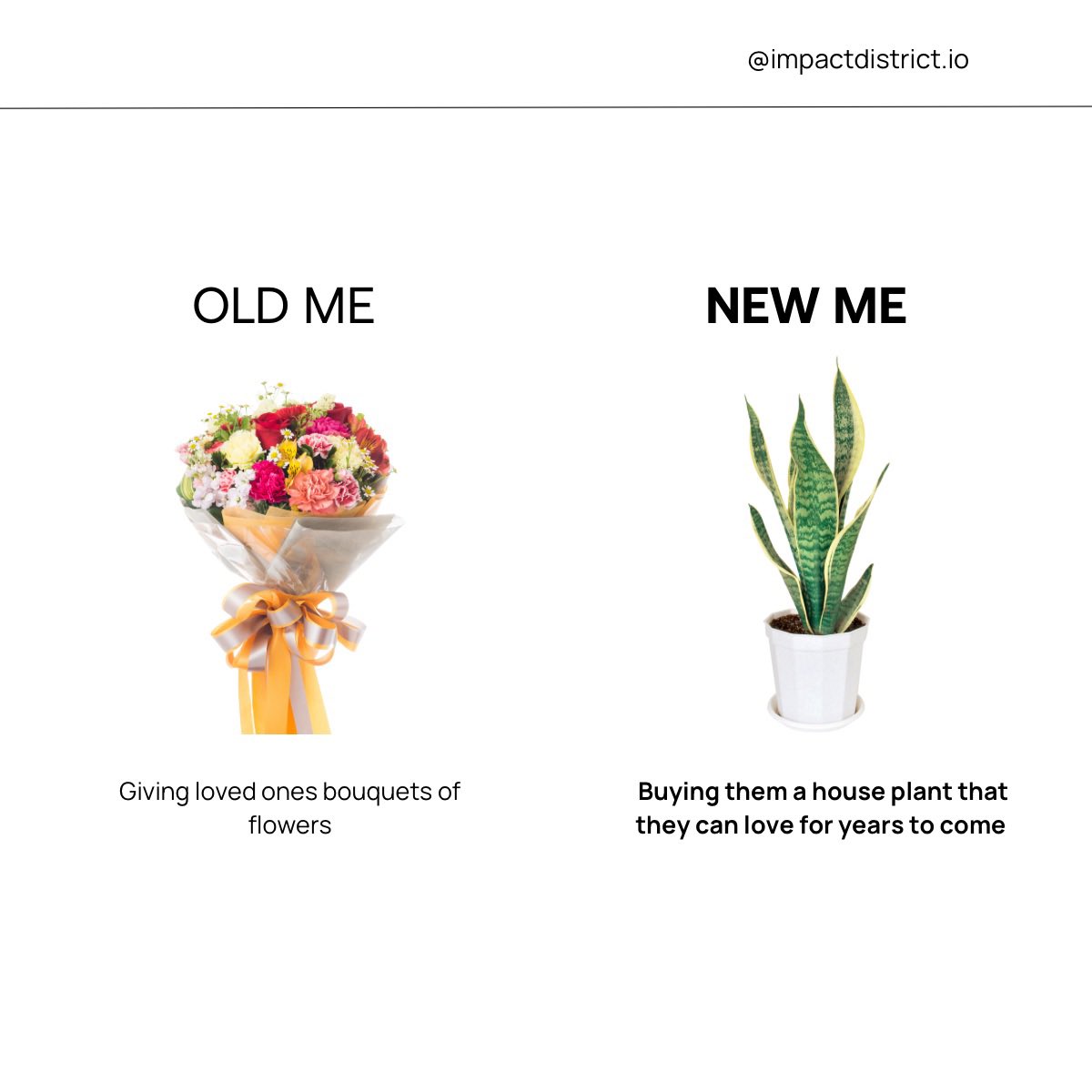 impact_district's tweet photo. Living a more sustainable lifestyle doesn't have to be complicated! Small changes can make a big impact. π
Check out these simple zero waste swaps! (1/2)
#zerowaste #sustainability #simpleswaps #greenliving #lowwaste #impact #ecofriendly #reducewaste #recycling https://t.co/5ptYyTBioI