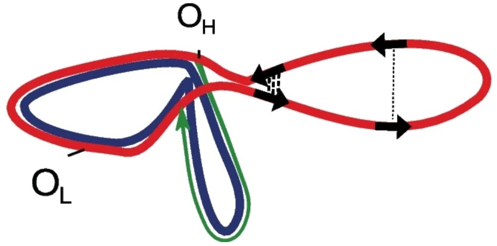 BMC Biology tweet media
